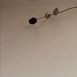 Meet your Posher, Alanna